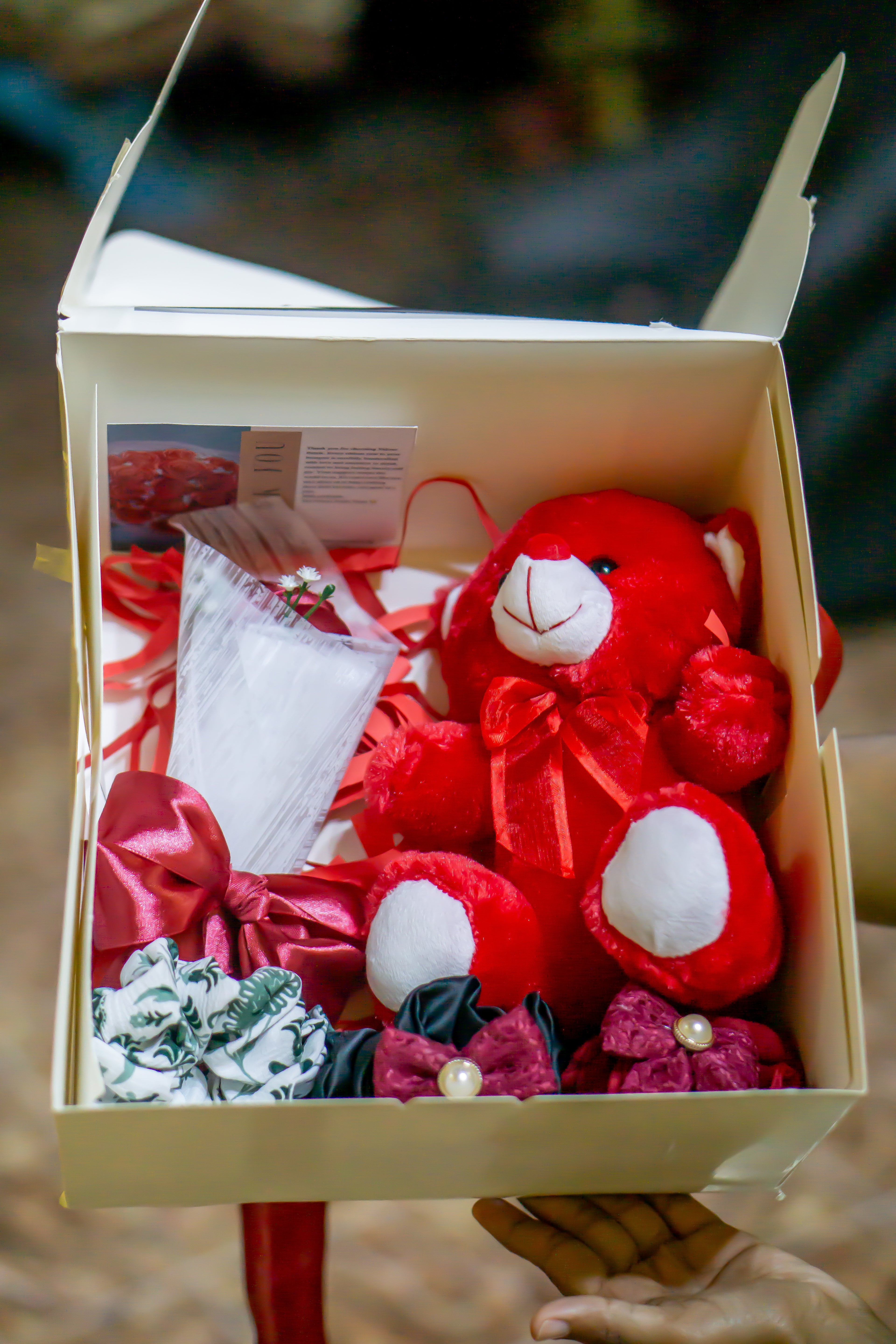 Velour Gift Box-Silver